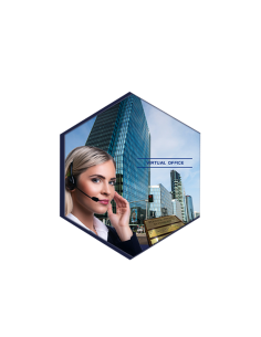 Servizio Ufficio Virtuale - Pagamento Annuale